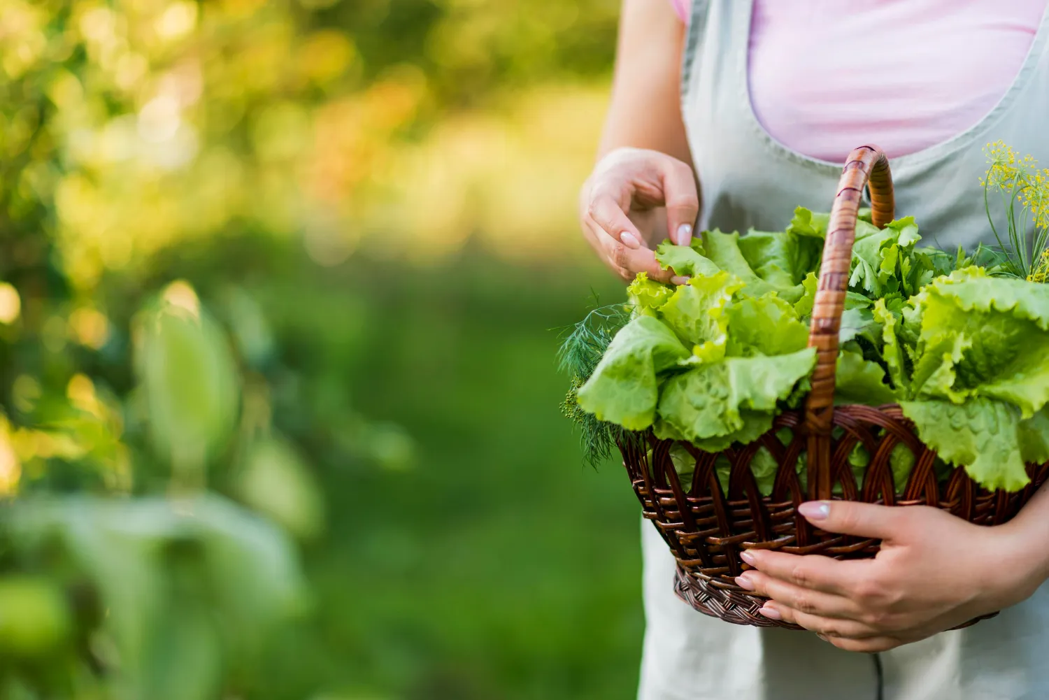 Organic Products Verona