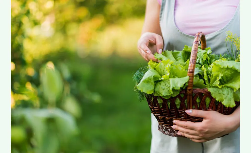 Organic Products Verona