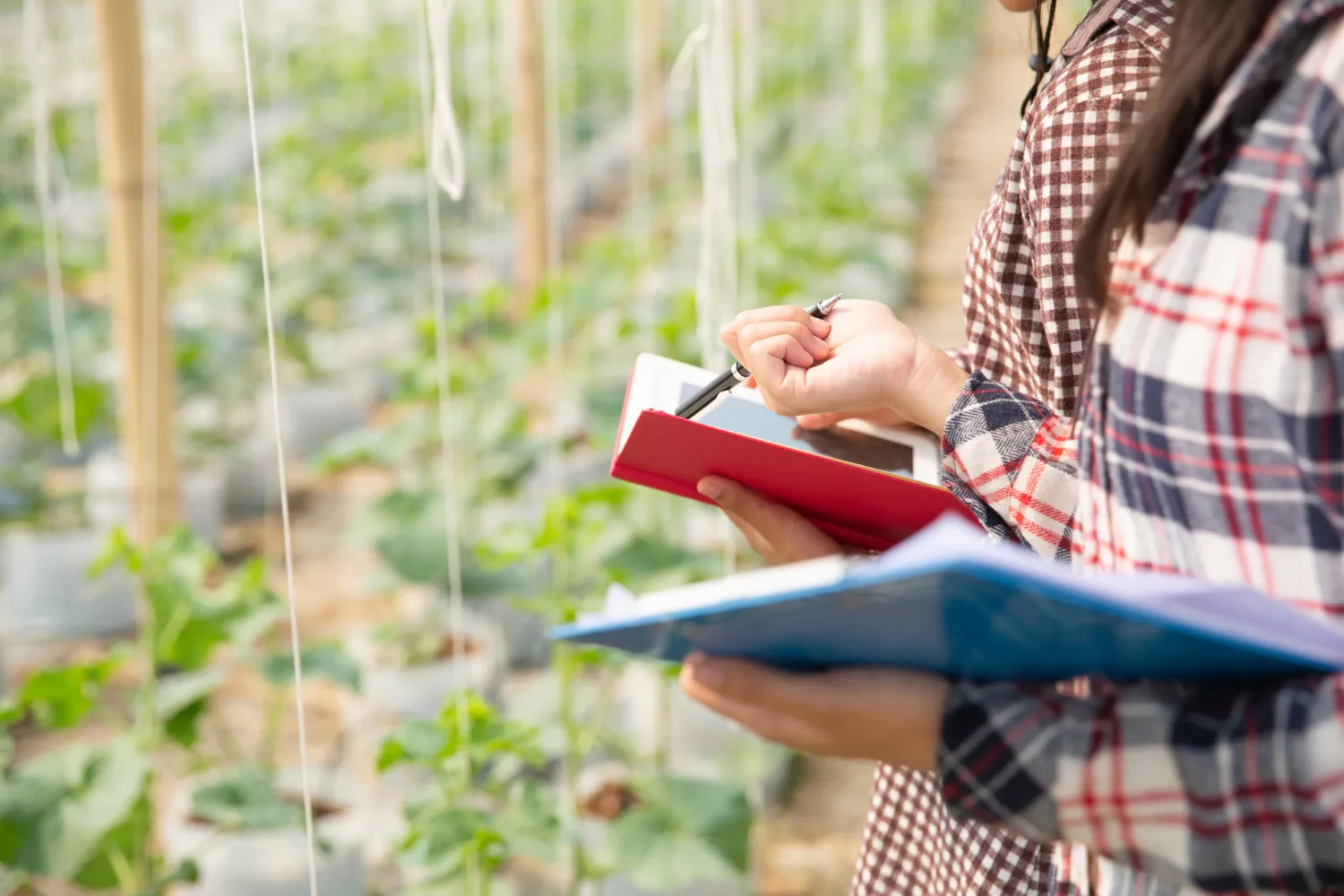 Courses for Purchasing Phytosanitary Products in Verona