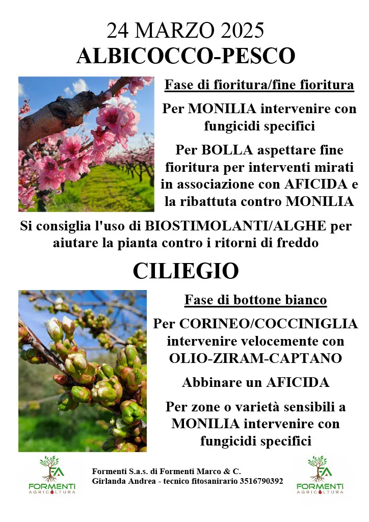 Albicocco, pesco e ciliegio