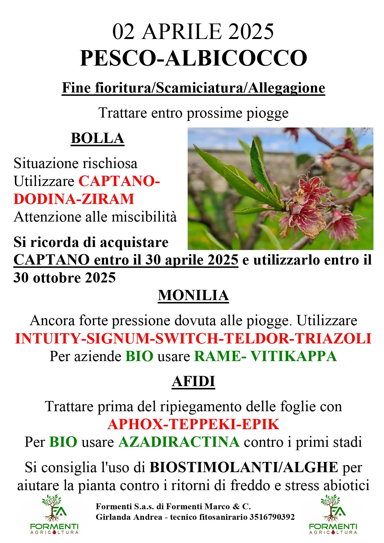 Pesco e albicocco