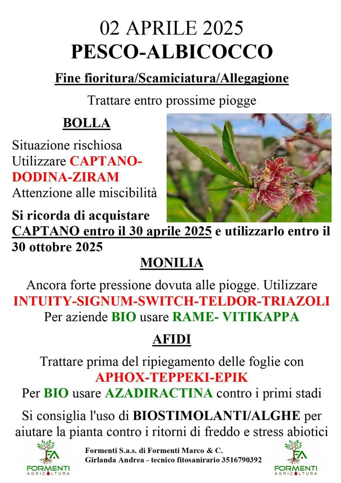 Pesco e albicocco
