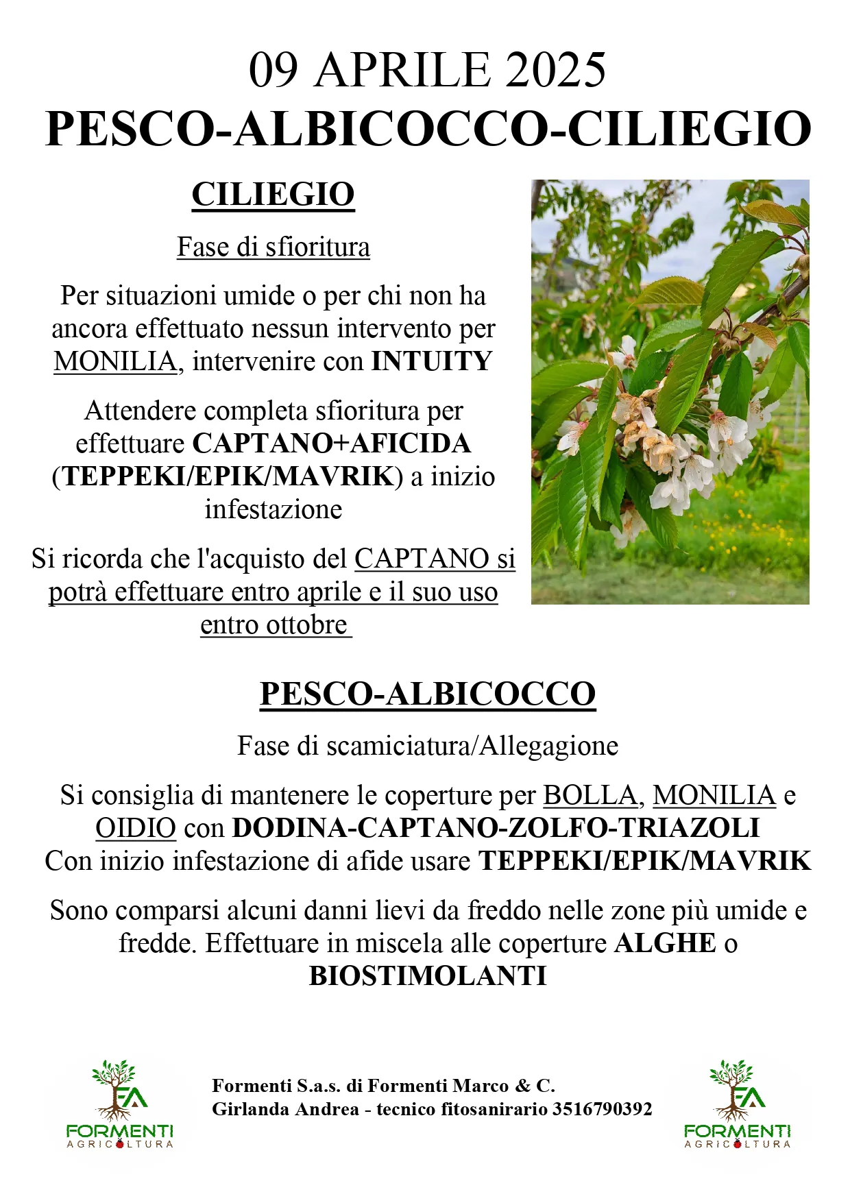 Albicocco, pesco e ciliegio