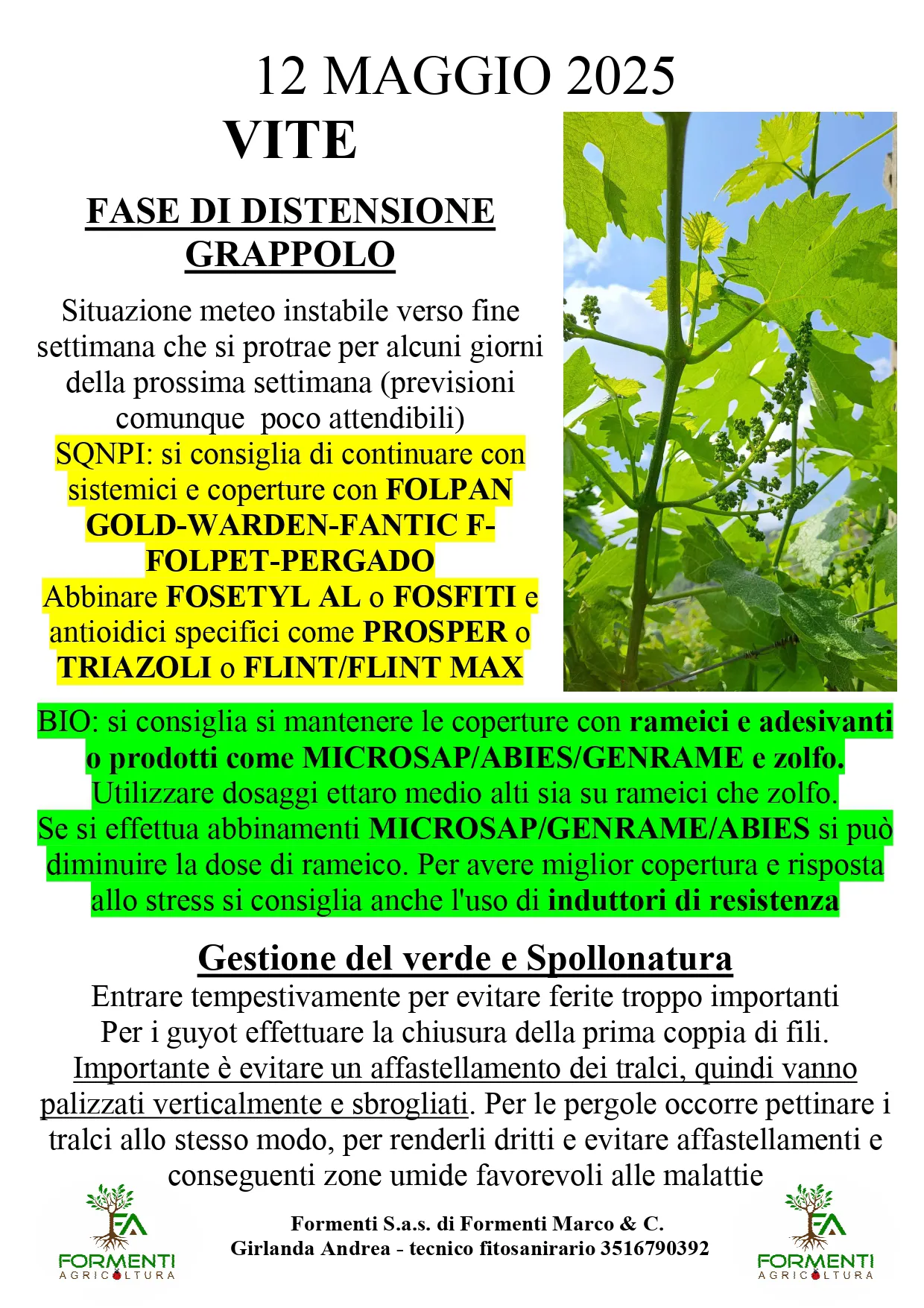Vite