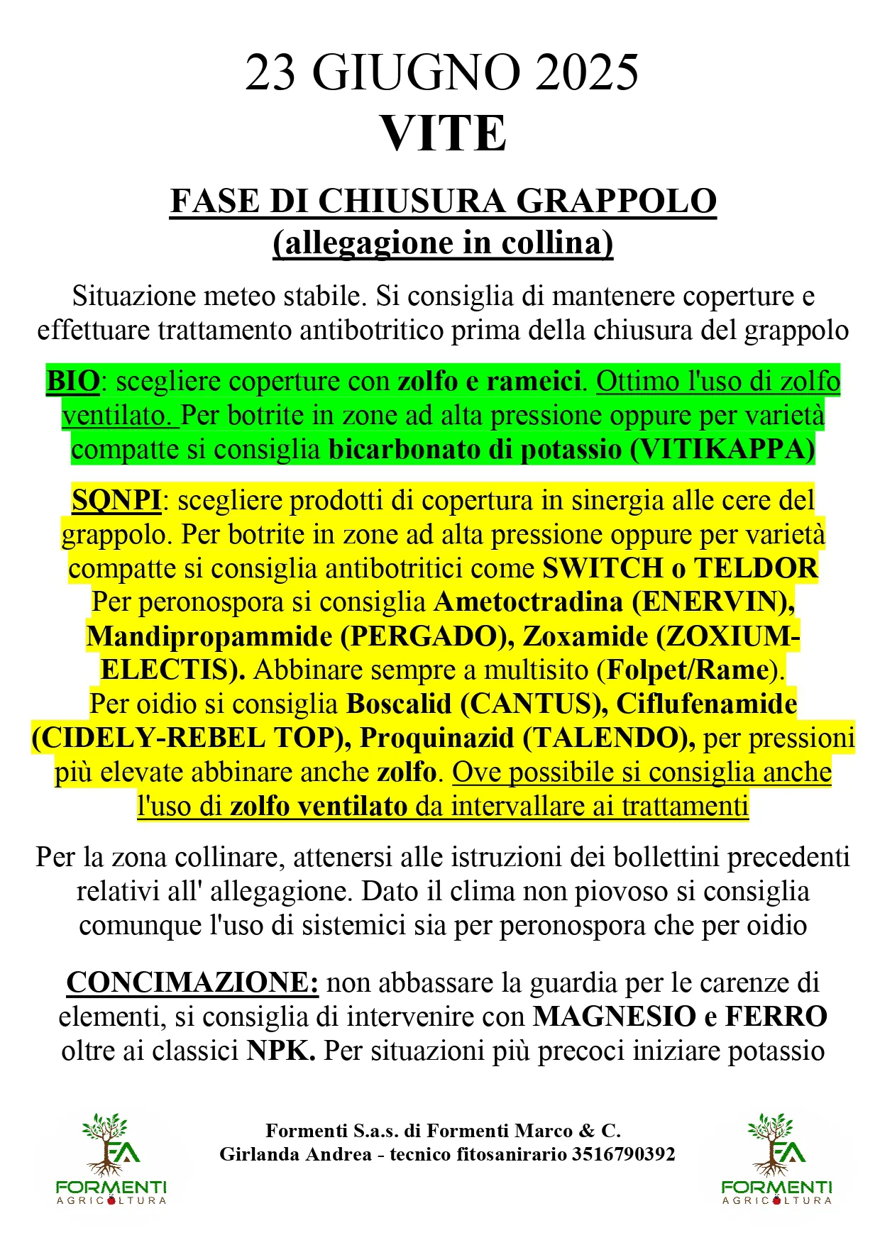 Vite e olivo