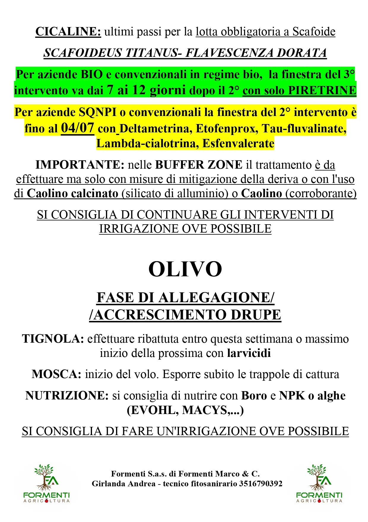 Vite e Olivo