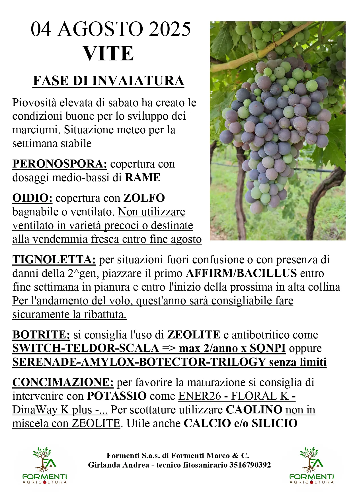 Vite
