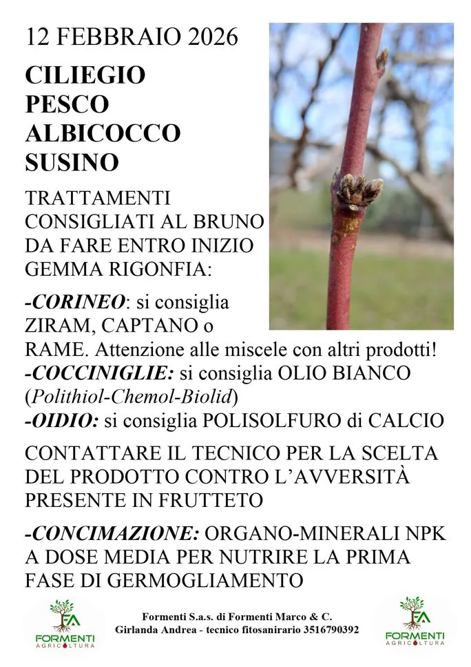 Drupacee (ciliegio, pesco, albicocco e susino)