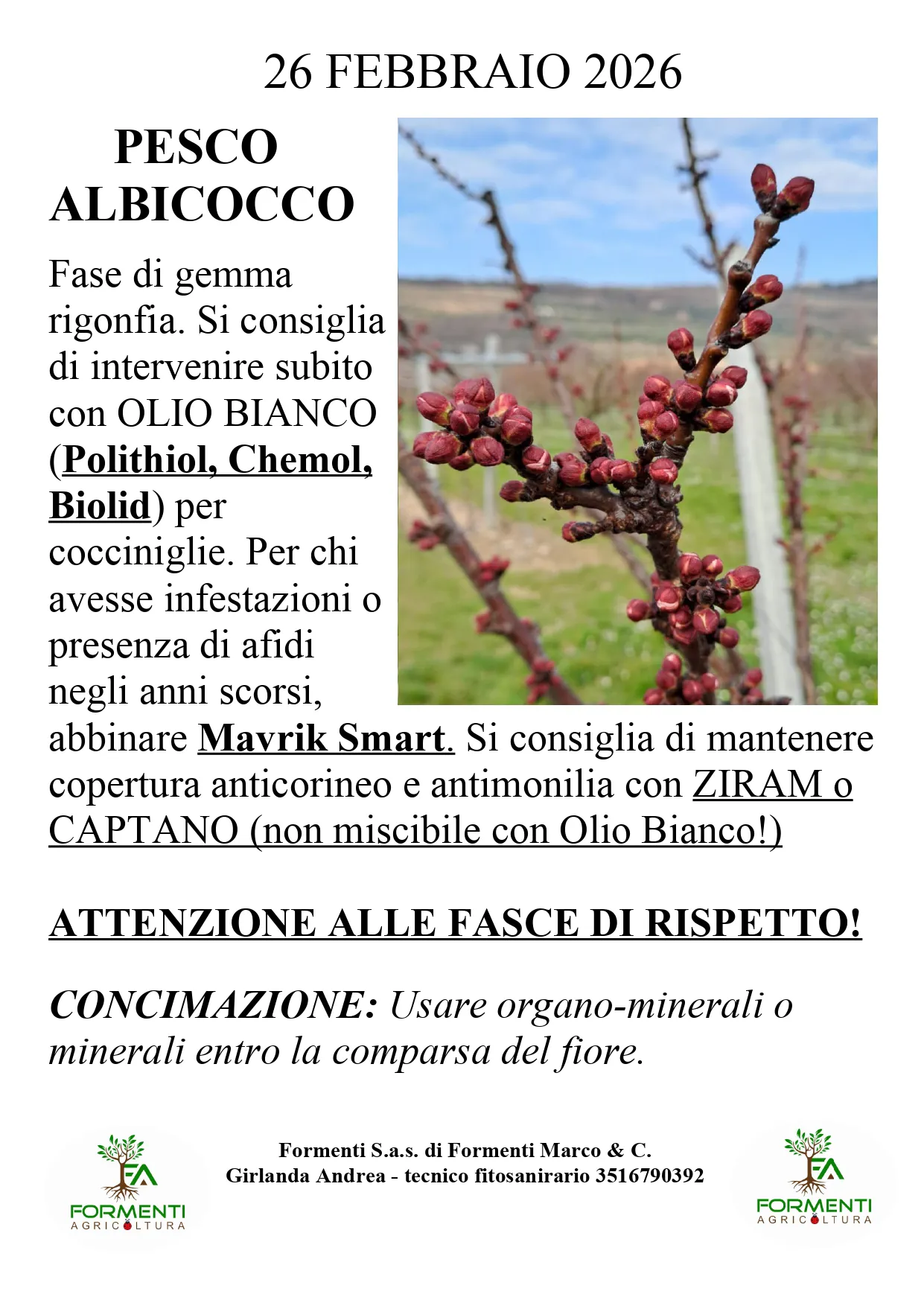 Pesco e albicocco