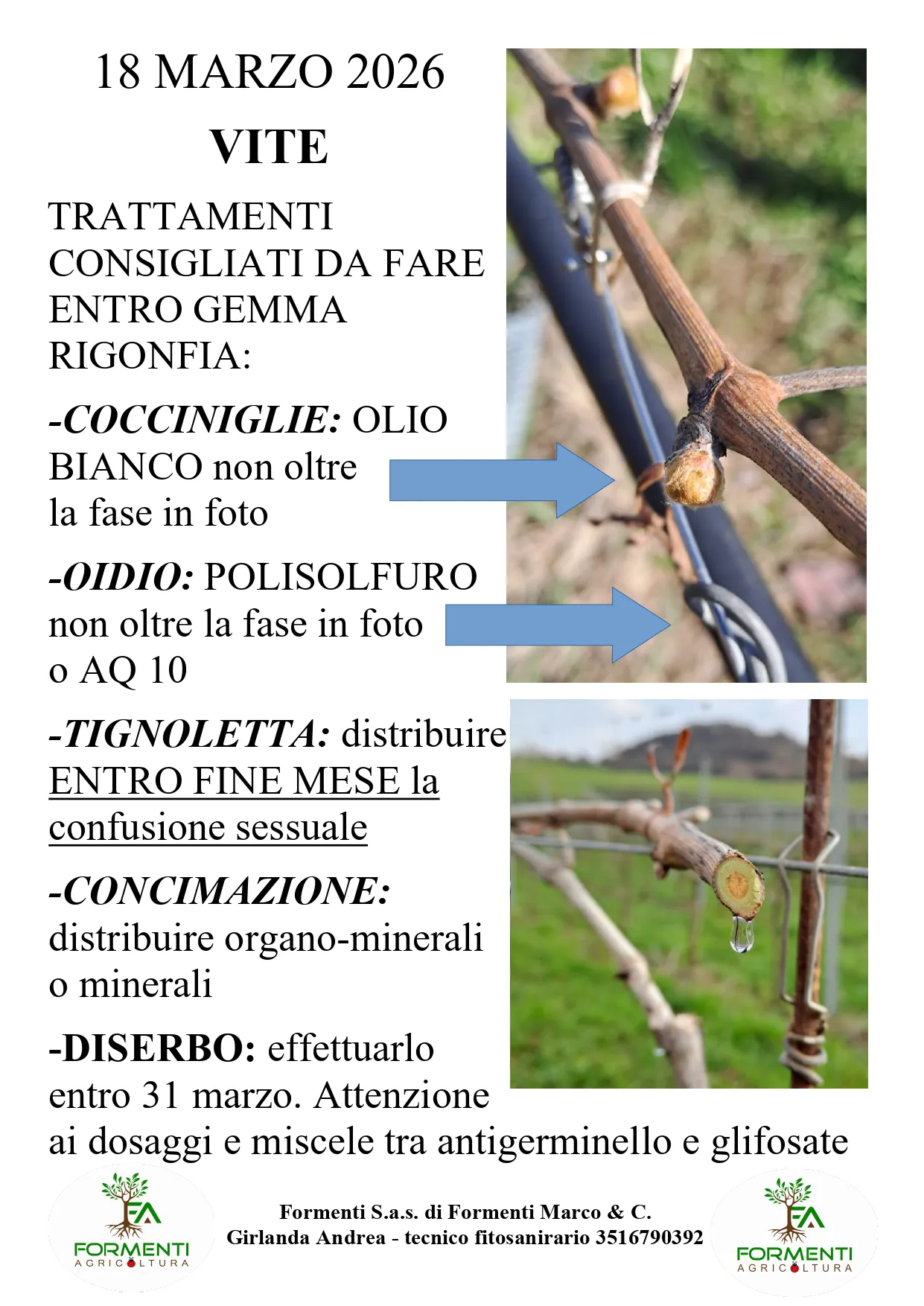 Vite
