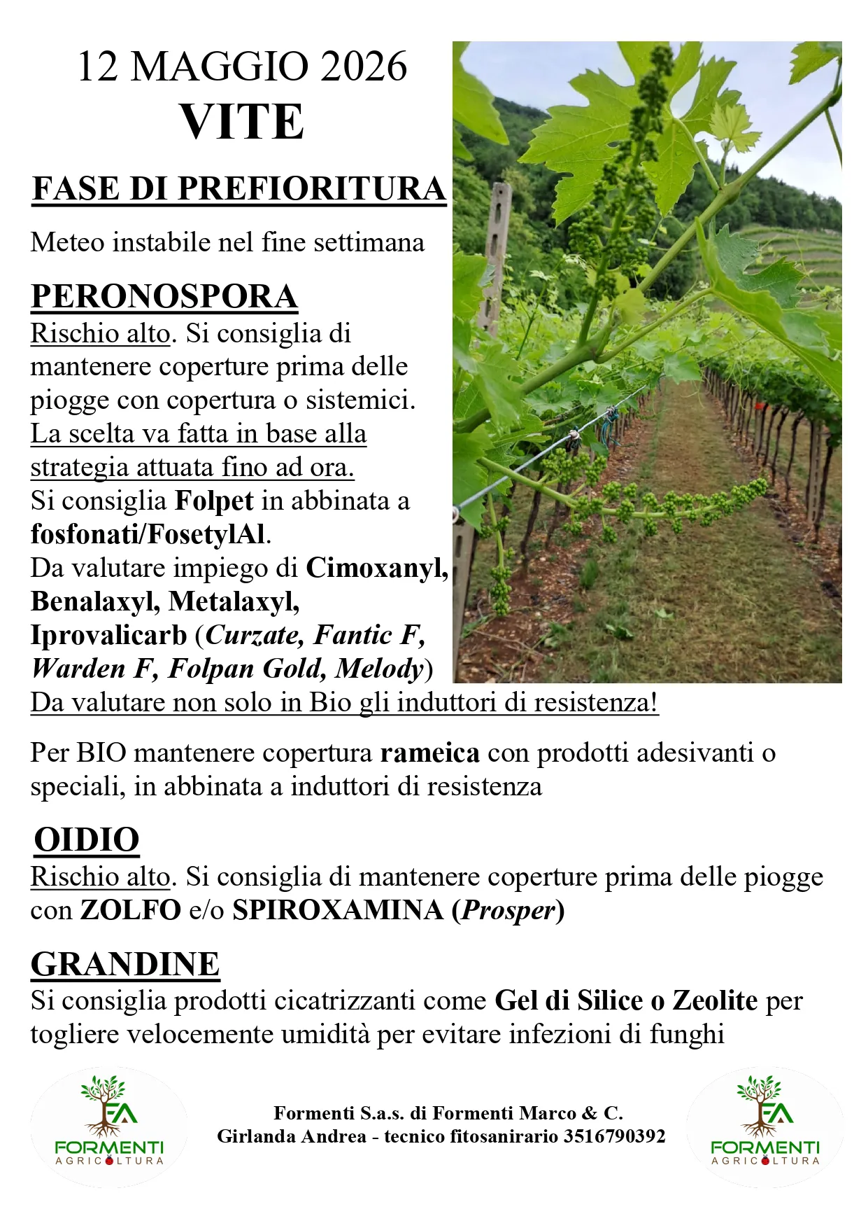 Vite