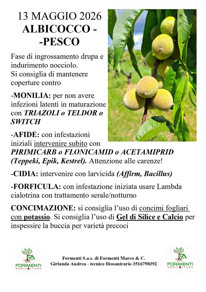 Albicocco e pesco