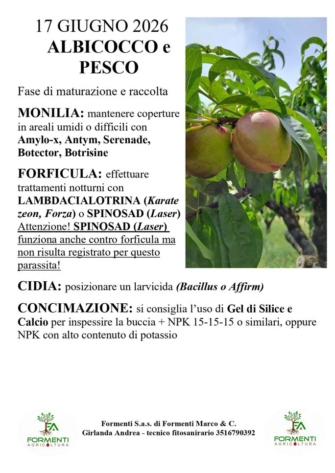 Albicocco e pesco