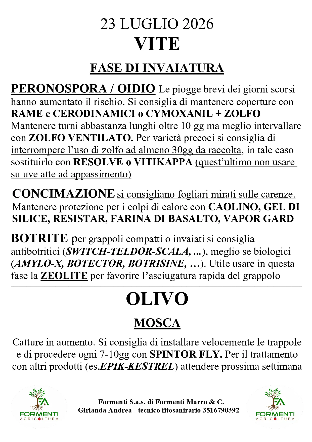 Vite e olivo