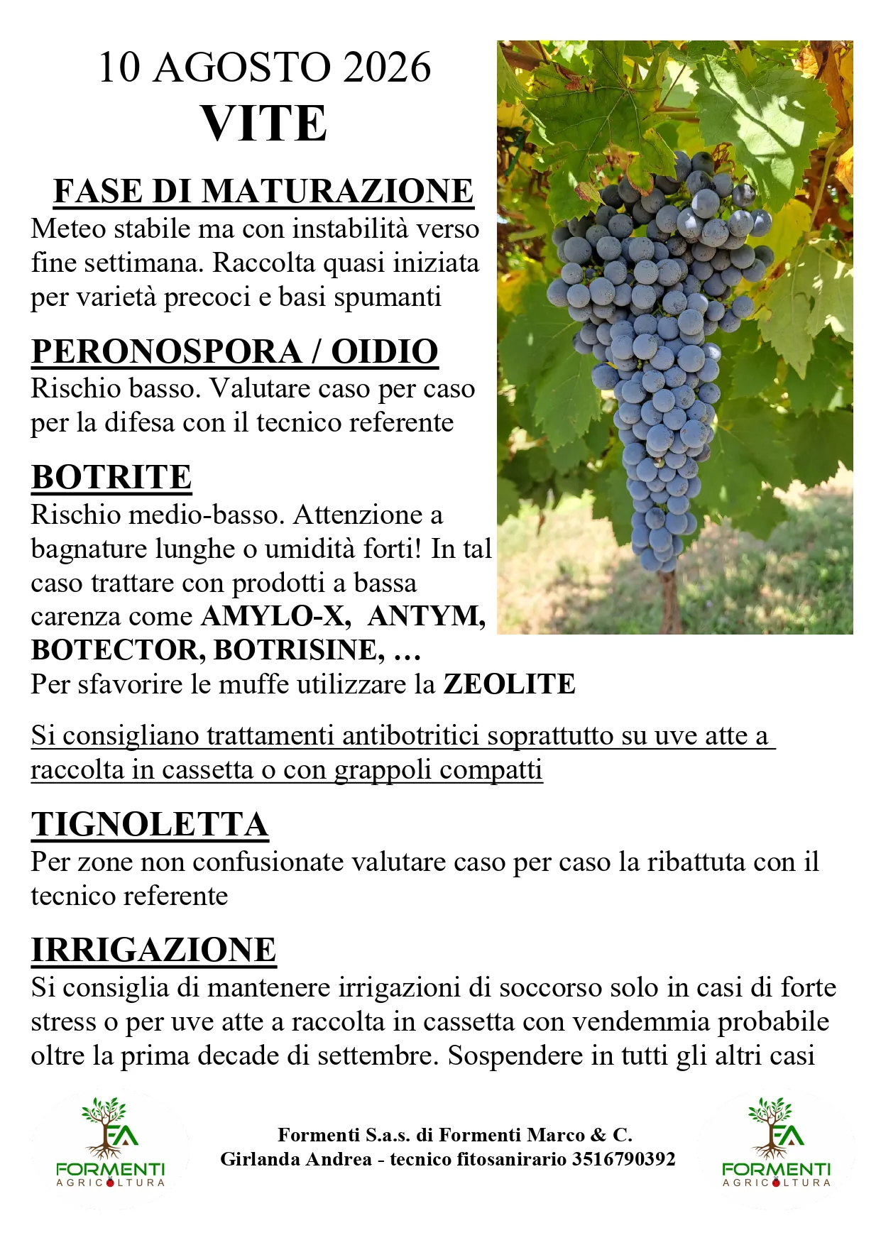 Vite