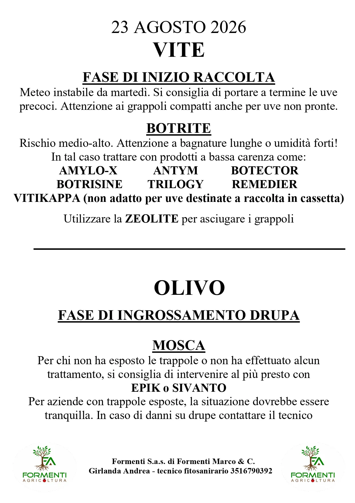 Vite e olivo